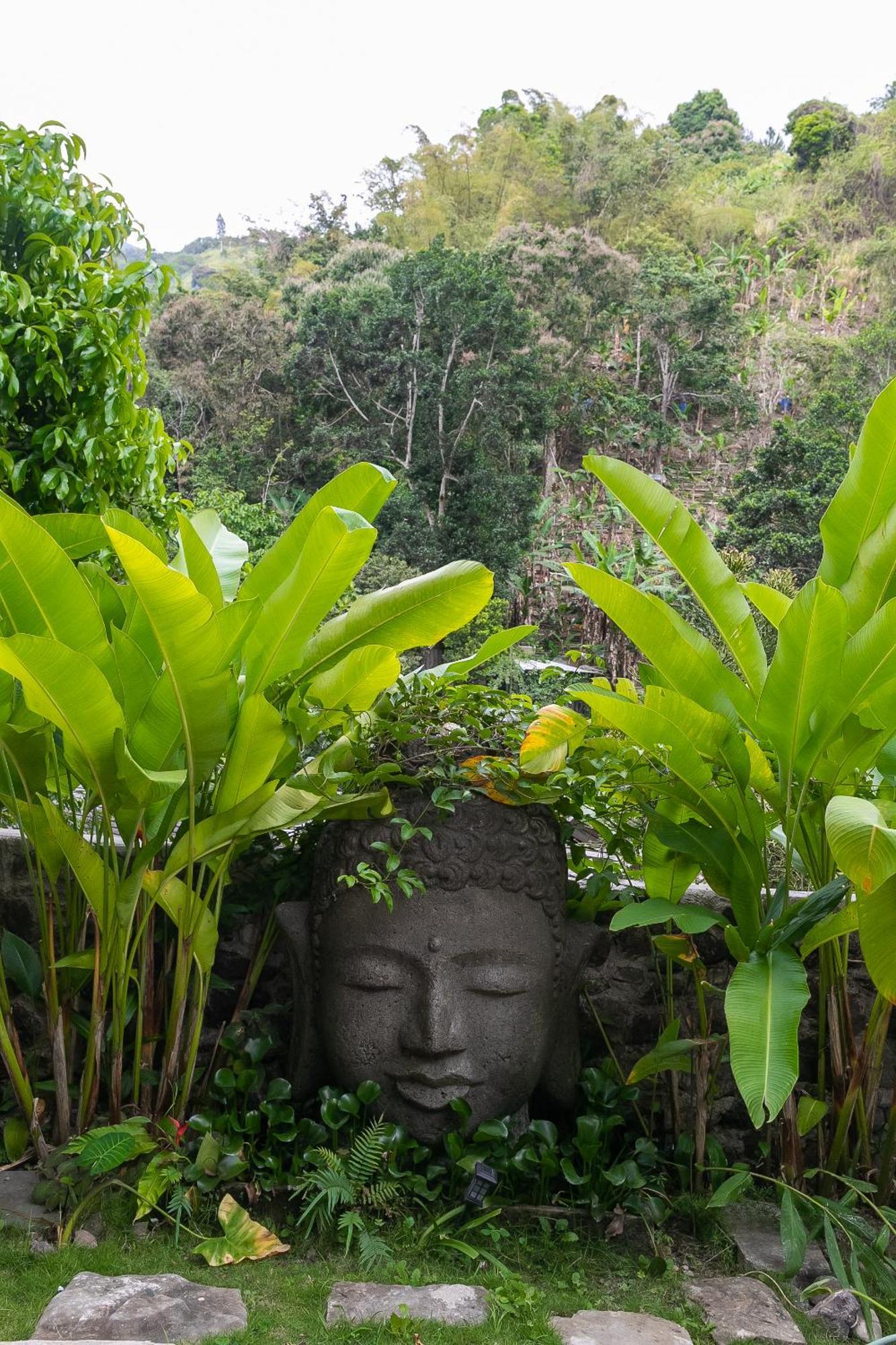 Serendipity Holistic Resort Spa Kingston Bagian luar foto