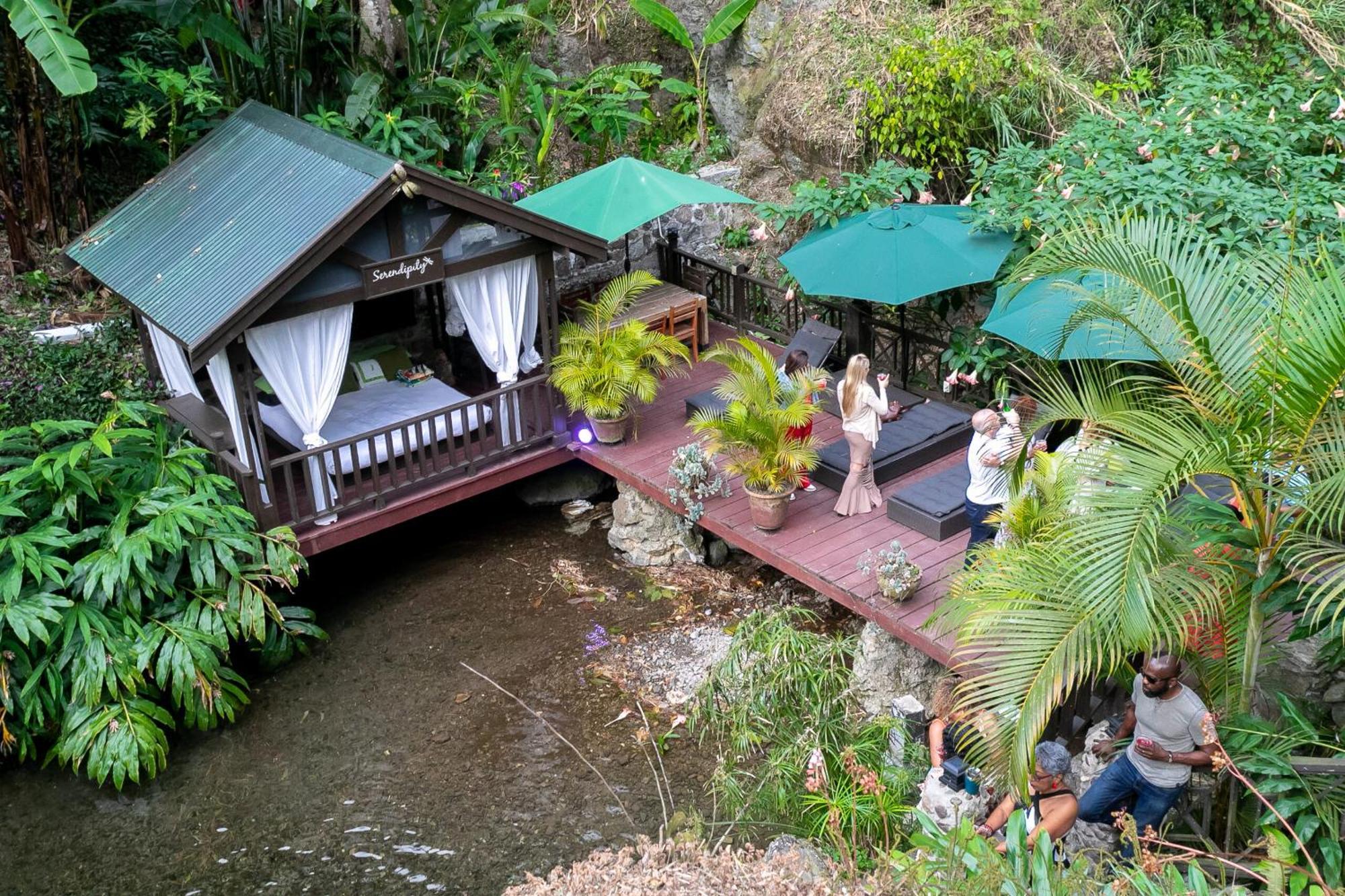 Serendipity Holistic Resort Spa Kingston Bagian luar foto